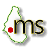 .ms Logo - Monserrat Domain, International Domains