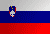 Slovenia International domain names
