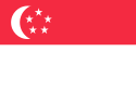 Singapore International Domain Name Registration